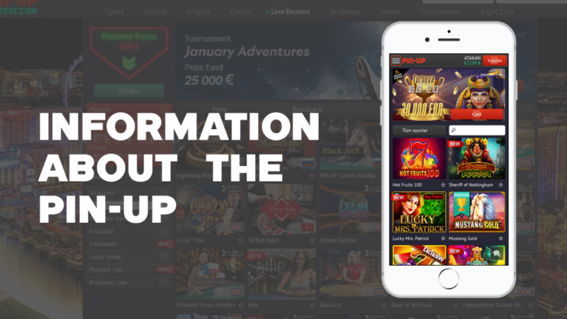 General information about the Pin-up betting company