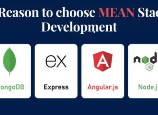 5 Reasons to Choose MEAN Stack Development MEAN Stack Development