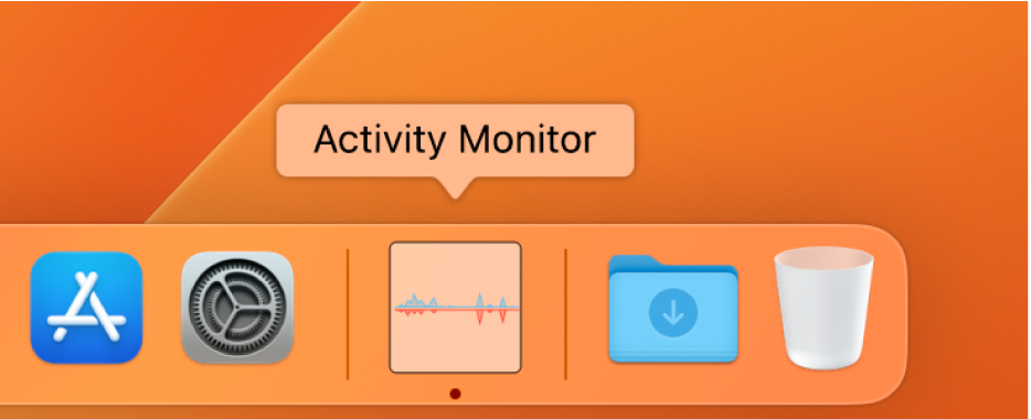 Activity Monitor on Mac,