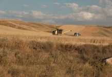 Wireless Connectivity Solutions with Ethernet Radios and OEM Modules