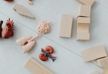 3D Medical Animation