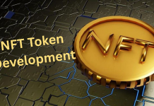 NFT Token Development Is Creating Massive Opportunities in the Digital Economy NFT Token Development